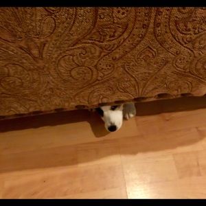 Meet your Posher, Carla